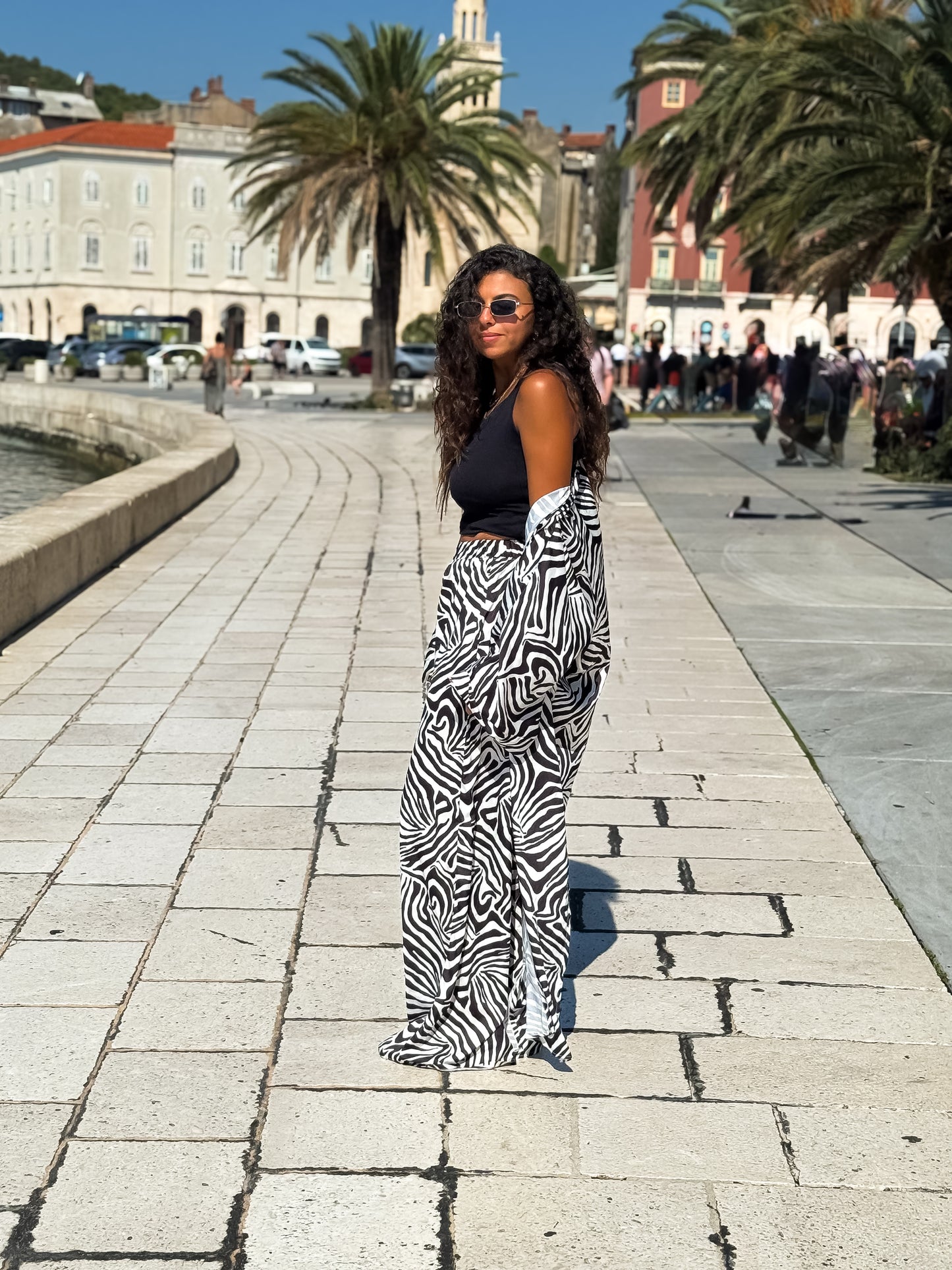 Zebra set