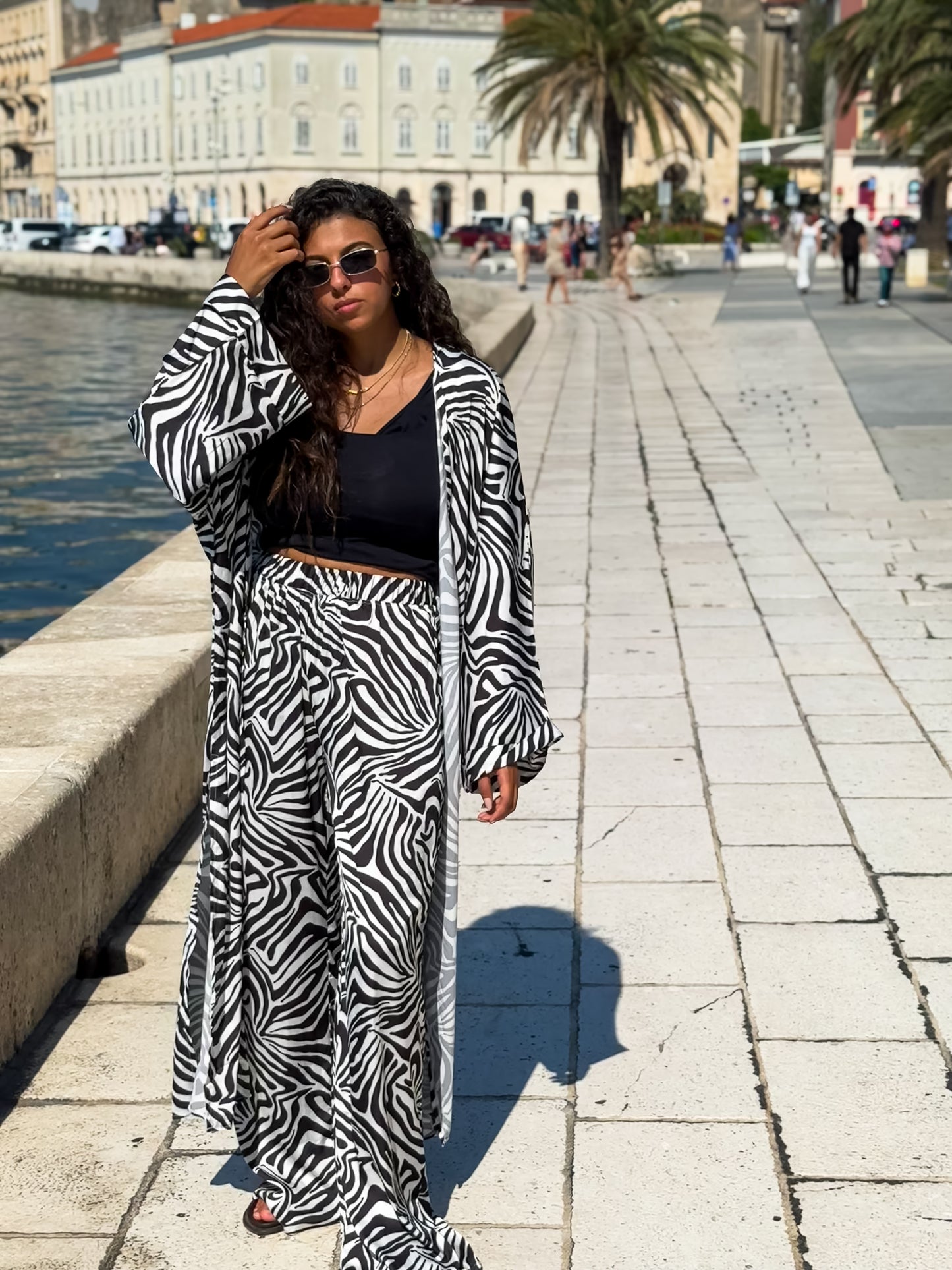 Zebra set